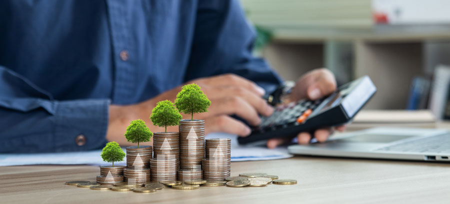 Mann mit Taschenrechner sowie Münzstapel, auf denen kleine Bäume stehen, auf Schreibtisch.