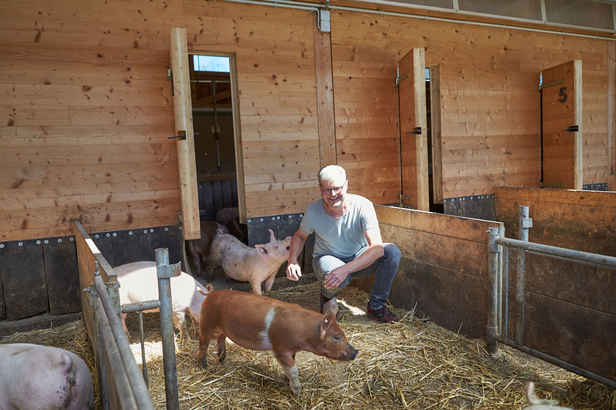 Biolandwirt und Nutzer von Futuria Propan (BioLPG) Christian May in seinem Schweinestall mit Tieren.